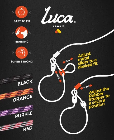 Luca Leash Collar & Leash Combo