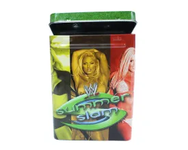 WWE SUMMERSLAM / RAW DEAL TIN   CARDS PACK